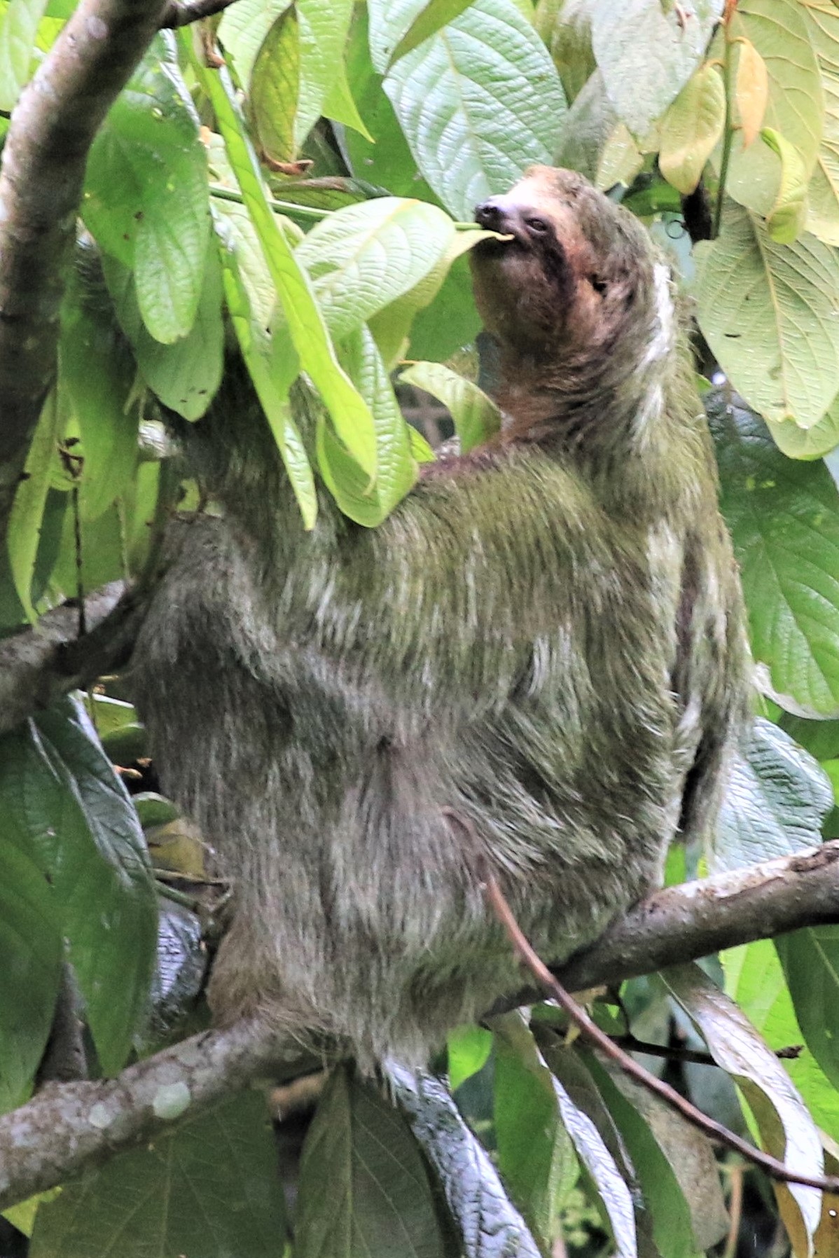 Costa Rica